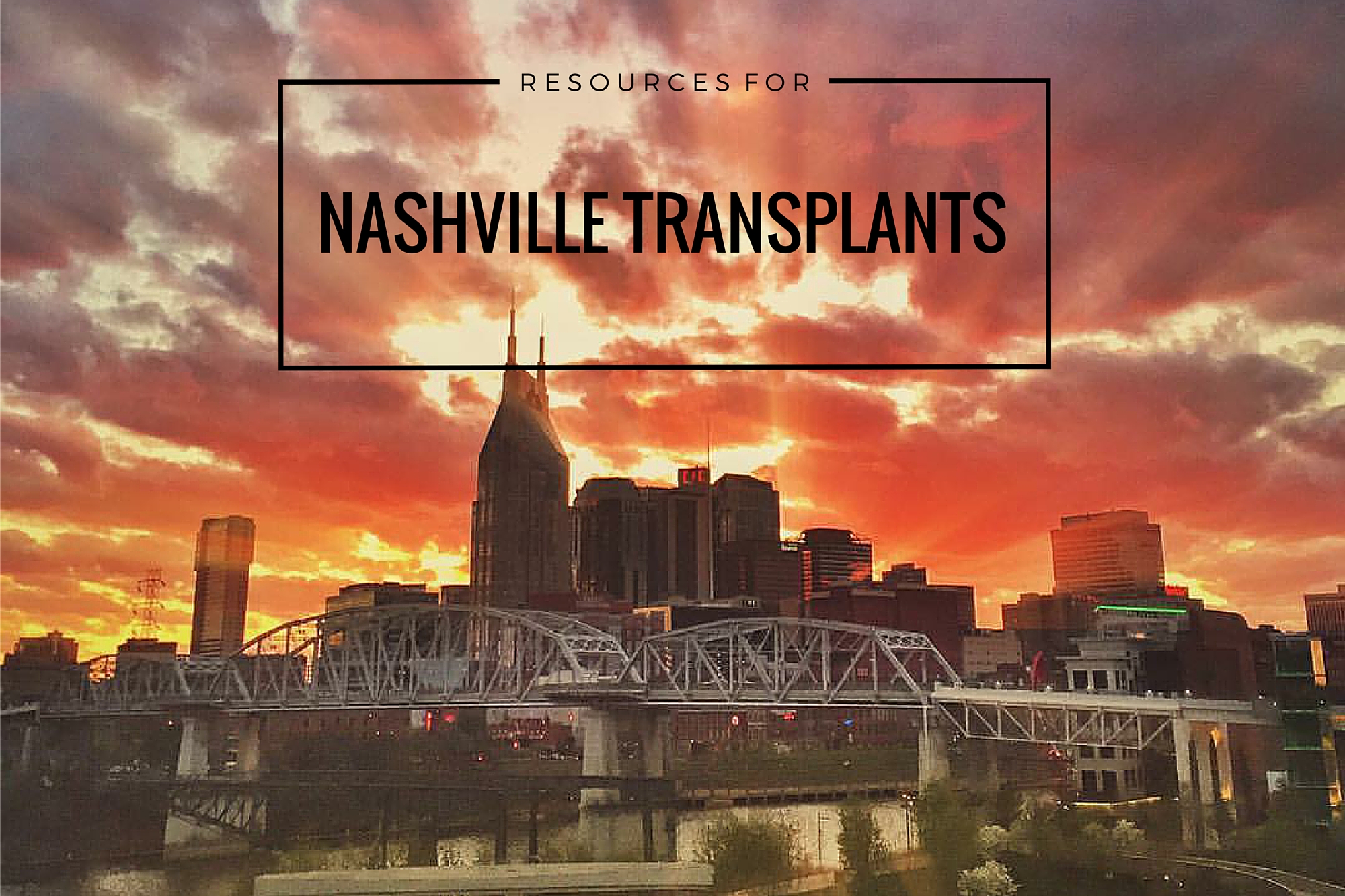 Nashville Transplant