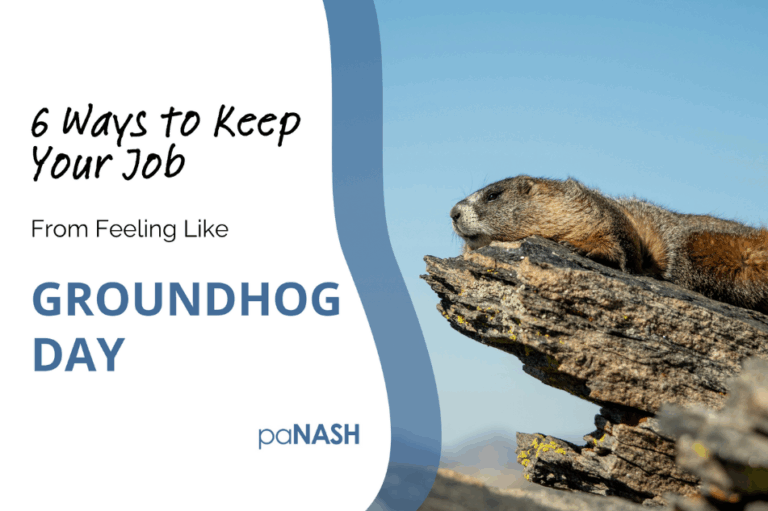 groundhog day