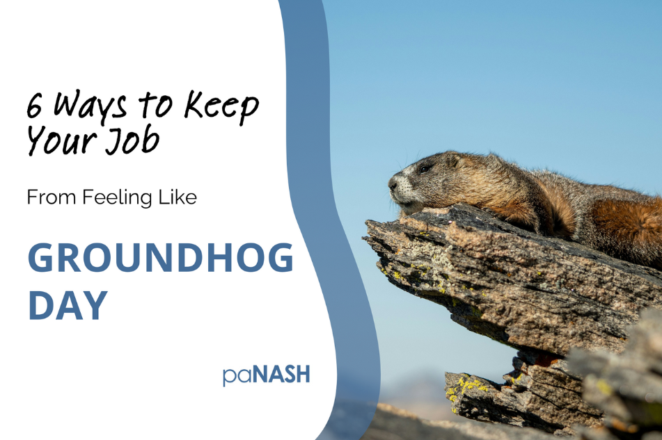 groundhog day
